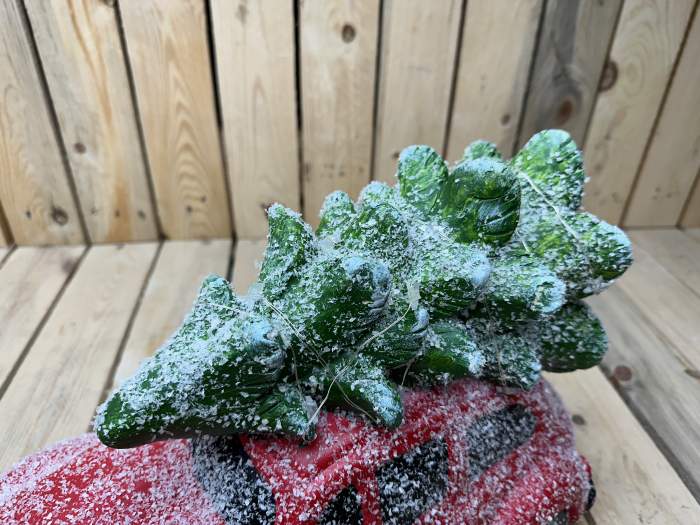 COCHE NAVIDEÑO CON ARBOL ROJO 39CM