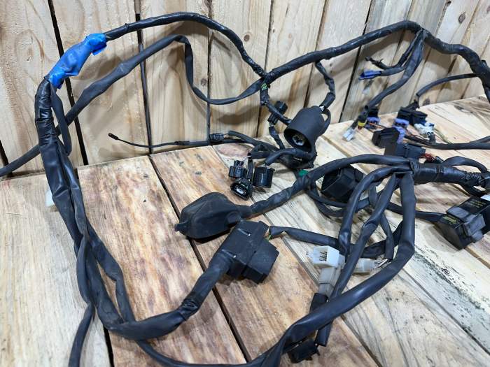CABLEADO ELÉCTRICO YAMAHA XMAX 125 2006