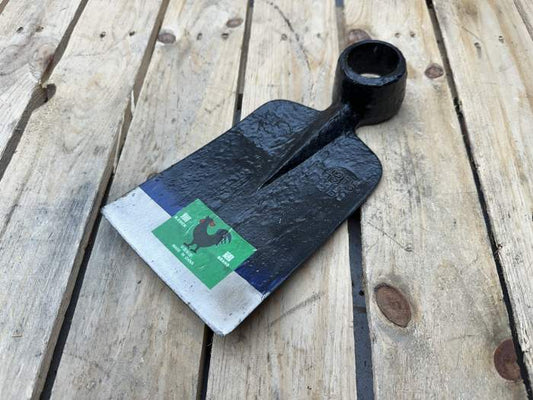 AZADA DE HOJA ANCHA