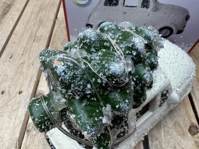 COCHE NAVIDEÑO CON ARBOL BLANCO 23CM