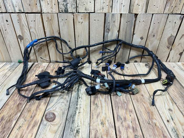 CABLEADO ELÉCTRICO YAMAHA XMAX 125 2006