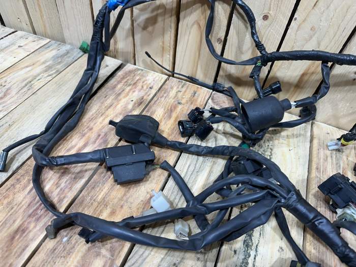 CABLEADO ELÉCTRICO YAMAHA XMAX 125 2006