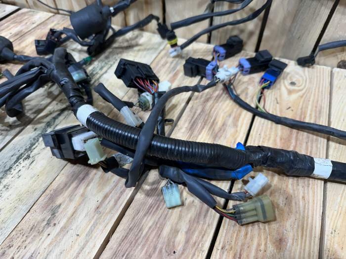 CABLEADO ELÉCTRICO YAMAHA XMAX 125 2006