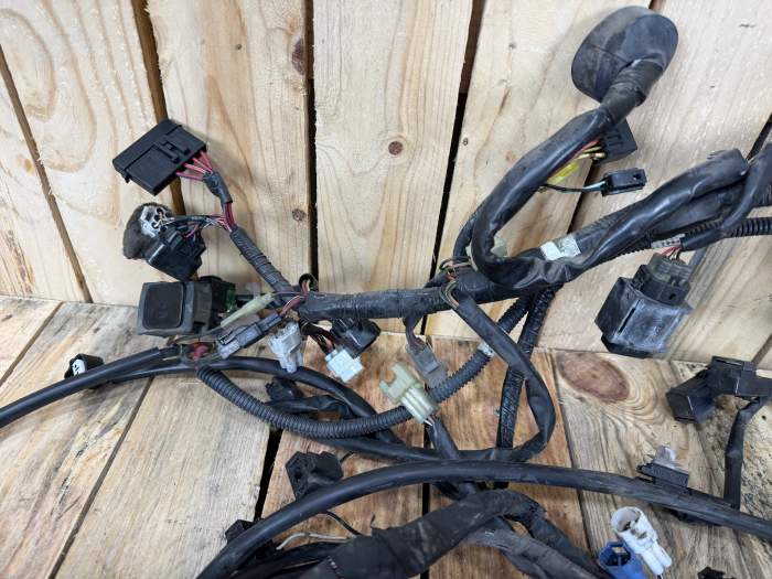 CABLEADO ELECTRICO SUZUKI BURGMAN 400 2010