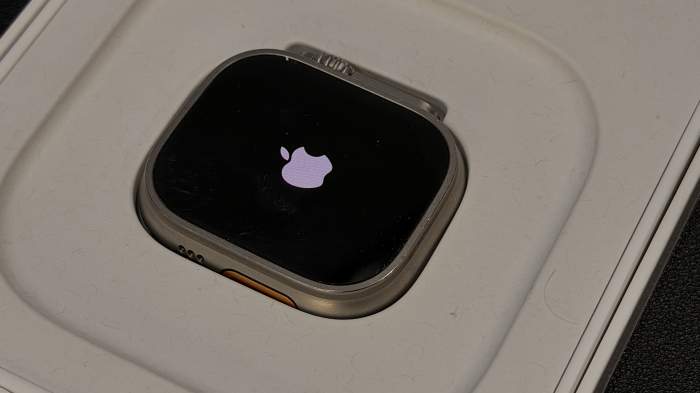 Apple Watch Ultra Caja de Titanio