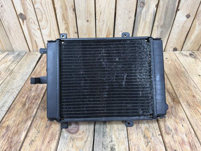 RADIADOR KYMCO XCITING 500 09-12