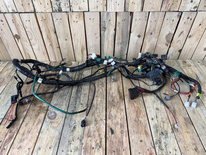 CABLEADO ELECTRICO KYMCO XCITING 500 09-12