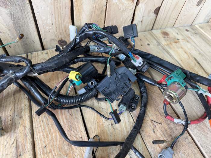 CABLEADO ELECTRICO KYMCO XCITING 500 09-12