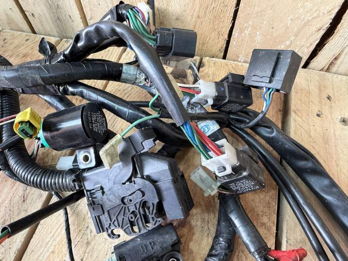 CABLEADO ELECTRICO KYMCO XCITING 500 09-12