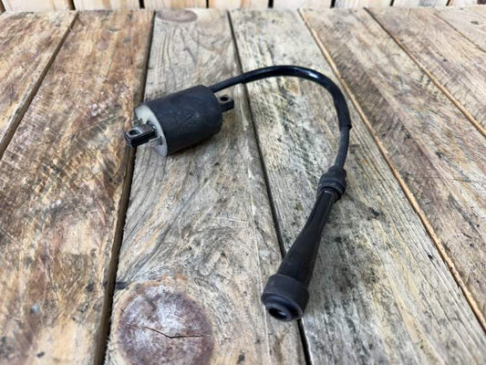 BOBINA DE ENCENDIDO KYMCO XCITING 500 09-12 - QrBox.es