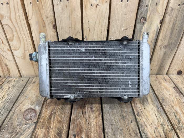 RADIADOR COMPLETO APRILIA ATLANTIC 125 03-12