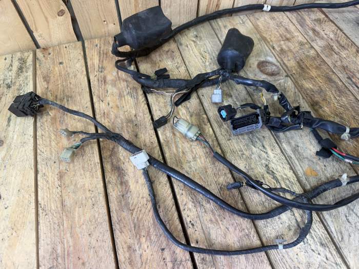 CABLEADO ELECTRICO HONDA PS 125 06-13