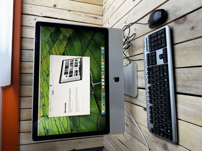IMAC 24 PULGADAS 2008 120GB SSD 4G RAM - QrBox.es