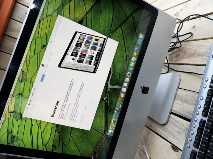 IMAC 24 PULGADAS 2008 120GB SSD 4G RAM - QrBox.es
